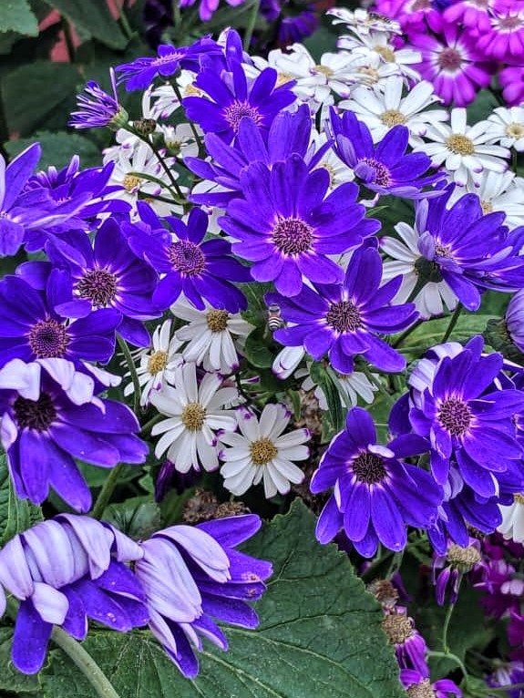 photo-4.jpg